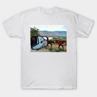 Van road trip journey in South Okanagan valley, British Columbia, Canada. T-Shirt